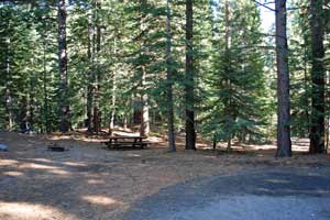 Silver Creek Campground, Alpine County, CA