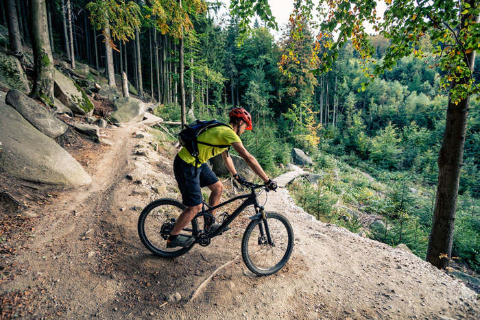 mountain biker on trail