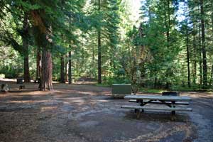 campsite in Big Trees State Park