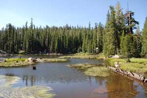 Mosquito Lakes, Lake Alpine, CA