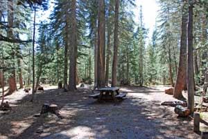 campsite at Spicer Reservoir Campground