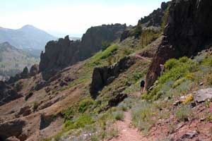 Trail from Ebbetts Pass to Sonora Pass