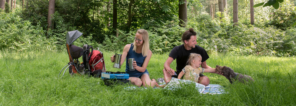 Family having a picnic