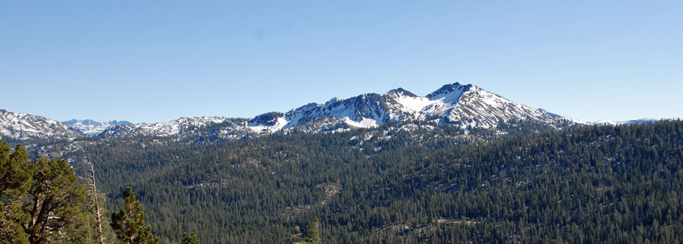 Ebbetts Pass, California