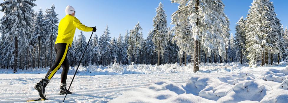 nordic skiers on forest ski trail